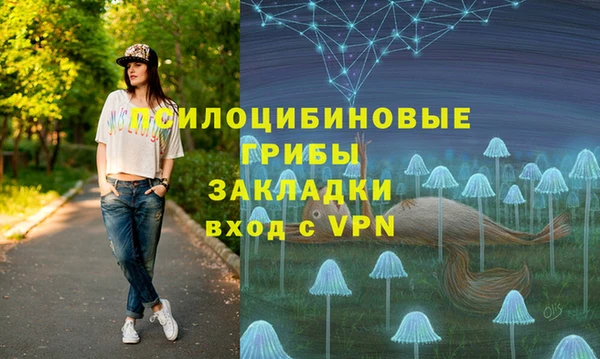 a pvp Алексин