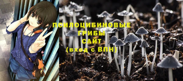 ECSTASY Алексеевка