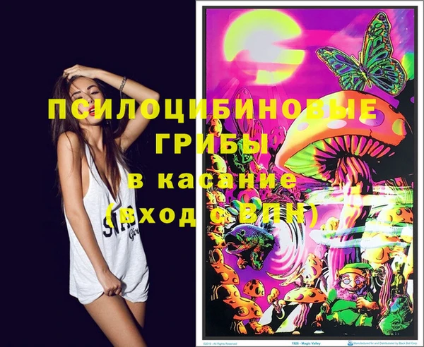 крисы Абдулино