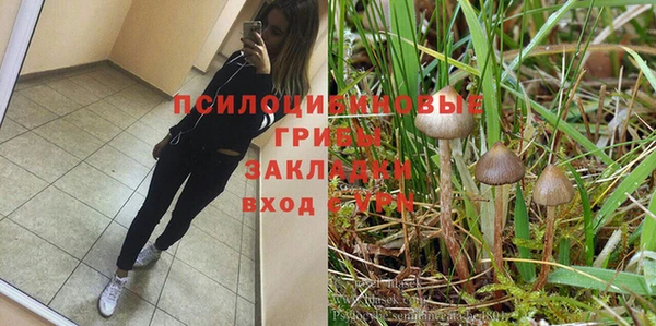 крисы Абдулино