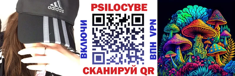 наркошоп  Воткинск  Псилоцибиновые грибы Magic Shrooms 